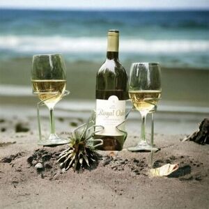 SORBUS 3-Piece Wine Stakes Picnic Set Glass & Bottle Holders Outdoor Metal NIB